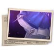 Banner Princesa Atormentada