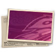 Pink Facade Banner