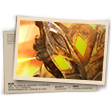 Banner Tesouro Antigo