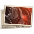 Banner Máscara da Morte