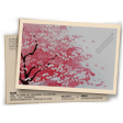 Falling Petal