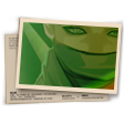 Banner Verde de Fome