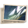 Banner Fim do Crepúsculo
