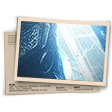 Banner Coleção de Caveiras