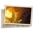 Banner A história da Shani