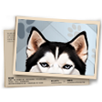 Banner Gladiadores FF (Mestre)