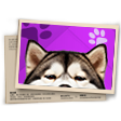 Banner Gladiadores FF (Elite de Honra)