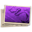 Banner Diamante do Gladiadores FF - T1