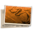 Banner Elite do Gladiadores FF - T1