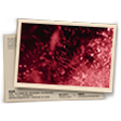 Banner Desafiante (Gladiadores FF: Ranqueado)