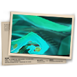 Banner Feras dos Mares