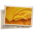 Banner Rugido