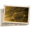 Banner Ranqueada T23 - Ouro