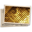 Banner Ranqueada T25 - Ouro