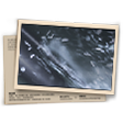 Banner Prata do BR Ranqueado - T28