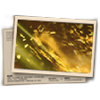 Gold S28 แบนเนอร์
