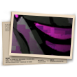 Banner Explosão Roxa
