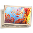 Banner Loucura de Ovos