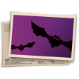Banner Morcegos da meia-noite