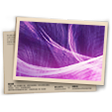 Banner Temporada 11 Diamante