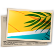 Banner Verão ensolarado