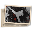 Banner Taekwondo