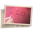 Banner Rosas Cor de Rosa