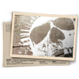 Banner Discórdia