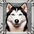 Avatar Gladiadores FF (Mestre)