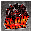 Avatar SLOW TEAMWORK