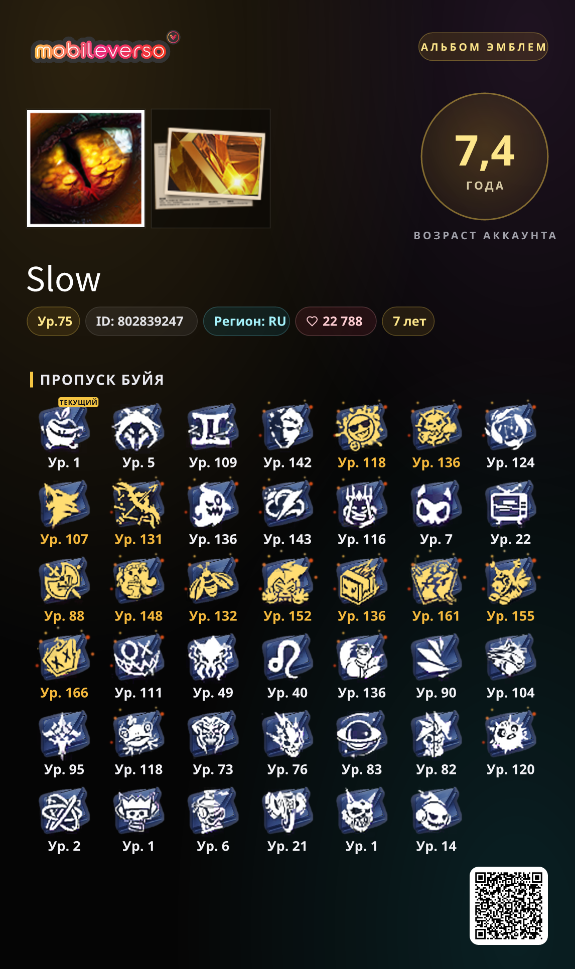 ㅤSlоwㅤ's badge album — Booyah Pass