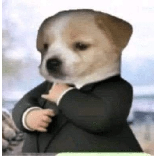 @thipperz